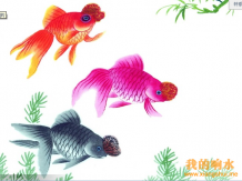 中国风水墨画《鱼水鱼画》